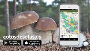 APP de cotos de setas