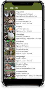 app otos de setas
